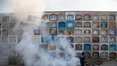 Indian Council of Medical Research (ICMR) has sought more virus challenge studies to be done from one of its institutes to establish more effectively that the process of releasing bugged mosquitoes would work. (AFP)