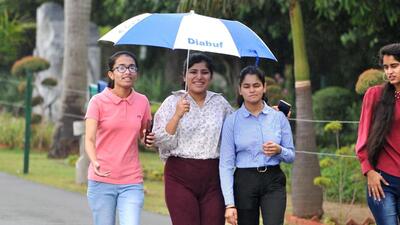 Either the cats could mind it or the dogs. For, it’s neither been raining in parts of the parched north, nor would current-day cats and dogs relish redundant proverbial allusions in times of monsoon deficit. (HT Photo)