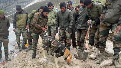 Rescue operations underway at Amarnath after a flash flood killed 16 people, on Saturday. (ANI PHOTO.) Rescue operations underway at Amarnath after a flash flood killed 16 people, on Saturday. (ANI PHOTO.)