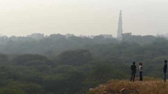 A view of Sanjay Van forest reserve. (HT Archive)