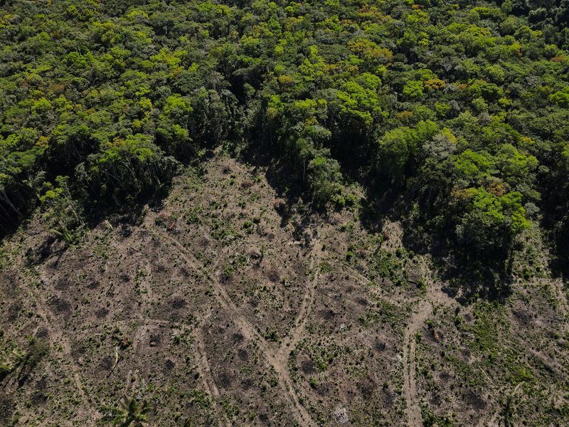 An aerial view shows a deforested plot of the Amazon rainforest in Manaus, Amazonas State, Brazil. (REUTERS)