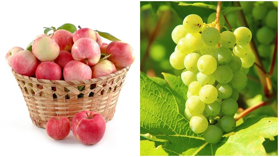 Apples are rich in soluble fibre while grapes help remove all the bad cholesterol from the liver. (Pixabay) Apples are rich in soluble fibre while grapes help remove all the bad cholesterol from the liver. (Pixabay)