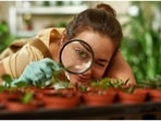 Gardening can promote better mental health: Study