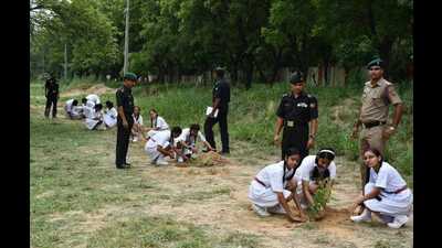 Students planting saplings during plantation drive in Mathura on Sunday. (HT PHOTO)