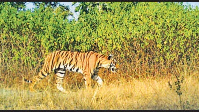 MP govt writes to Centre seeking change in industrial corridor route MP govt writes to Centre seeking change in industrial corridor route
