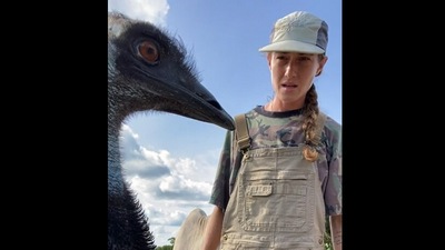 Emmanuel the emu bird photobombs a TikTok video. (TikTok/@knucklebumpfarms) Emmanuel the emu bird photobombs a TikTok video. (TikTok/@knucklebumpfarms)