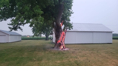 The image shows one of the pictures shared on Facebook that shows a tree burning from inside after being struck by a lightning. (Facebook/@Ridgeville Township Volunteer Fire Department) The image shows one of the pictures shared on Facebook that shows a tree burning from inside after being struck by a lightning. (Facebook/@Ridgeville Township Volunteer Fire Department)