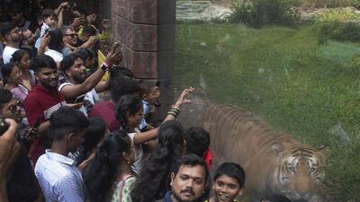Municipal commissioner Iqbal Singh Chahal said the project was scrapped because the BMC has already received a go-ahead from the state government for building an aquarium and marine research centre at the Worli on a plot occupied by government dairy (Satish Bate/HT PHOTO) Municipal commissioner Iqbal Singh Chahal said the project was scrapped because the BMC has already received a go-ahead from the state government for building an aquarium and marine research centre at the Worli on a plot occupied by government dairy (Satish Bate/HT PHOTO)