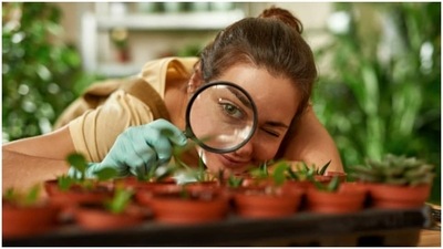 Gardening can promote better mental health: Study (Unsplash)