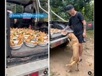 The man fed a meal to streets dogs in Thailand. (niall.harbison/Instagram) The man fed a meal to streets dogs in Thailand. (niall.harbison/Instagram)