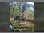 The image shows the police rescuing the baby deer whose legs are entangled in a chain-link fence.(Facebook/@WestSenecaPoliceDepartment) The image shows the police rescuing the baby deer whose legs are entangled in a chain-link fence.(Facebook/@WestSenecaPoliceDepartment)