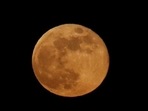 Biggest supermoon of 2022 will occur on July 13, Wednesday.(Reuters File)