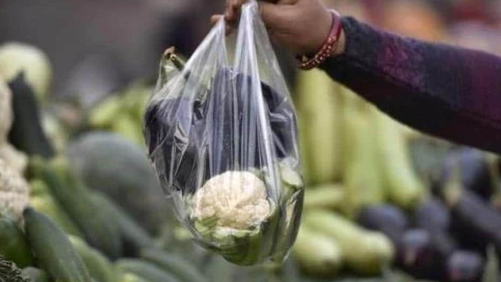 International Plastic Bag Free Day Delhi youth elated after ban on  singleuse plastic  Latest News Delhi  Hindustan Times