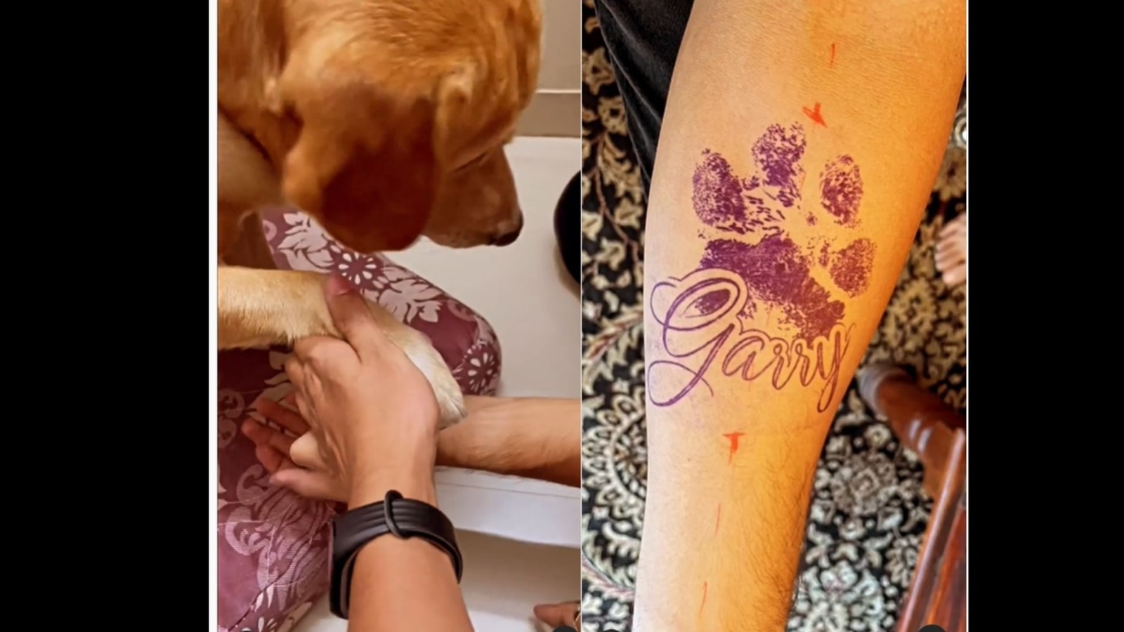 Custom Pet Dog Outline Tattoos  Inku Paw