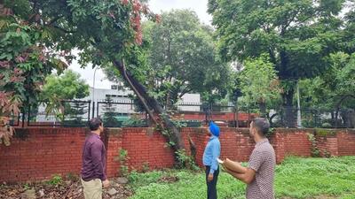 A team surveying the health of heritage trees in Chandigarh. (HT Photo) A team surveying the health of heritage trees in Chandigarh. (HT Photo)