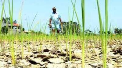A Sanyukt Kisan Morcha (SKM) that has been set up in Uttar Pradesh (U.P.) to highlight farmers’ issues and to get them resolved will hold its first protest across the state on Tuesday. (File)