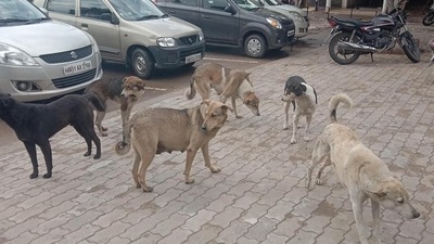 Representational image.