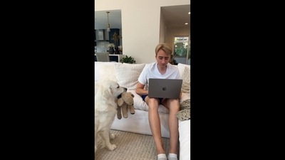 The image that shows the Golden Retriever and her human has ben taken from the video posted on Instagram. (Instagram/@ladyandtheblues) The image that shows the Golden Retriever and her human has ben taken from the video posted on Instagram. (Instagram/@ladyandtheblues)