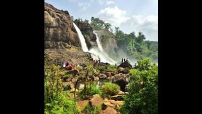 We need a nature-inclusive economic metric to protect our forests and biodiversity. (Getty Images/iStockphoto) We need a nature-inclusive economic metric to protect our forests and biodiversity. (Getty Images/iStockphoto)