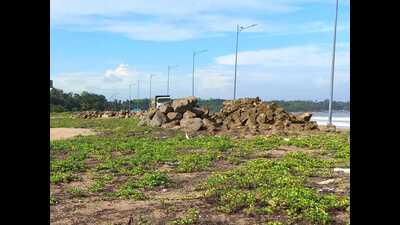 The MMB, however, has continued reclaiming a portion of the sand dunes between Aksa Beach and INS Hamla (Shweta Wagh) The MMB, however, has continued reclaiming a portion of the sand dunes between Aksa Beach and INS Hamla (Shweta Wagh)