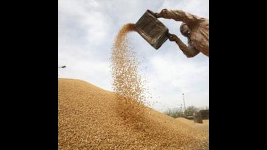 A state government spokesperson said that the tenders have been floated by the newly formed Punjab State Cooperative Marketing Society Limited for the inclusion of delivery services and listing of flour mills for grinding of wheat. (Reuters File Photo)