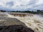 Godavari river in spate following monsoon rains in Nashik.(PTI)