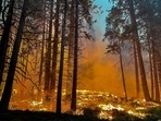 In this photo courtesy of the National Parks Service obtained on July 11, 2022, fire fighters perform backfire operations while combating the Washburn Fire near the South Entrance of Yosemite National Park, California. In this photo courtesy of the National Parks Service obtained on July 11, 2022, fire fighters perform backfire operations while combating the Washburn Fire near the South Entrance of Yosemite National Park, California. 