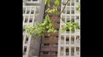 Ex-administrator’s stance 2015 still a roadblock for Chandigarh’s leasehold to freehold conversion process. (HT File) Ex-administrator’s stance 2015 still a roadblock for Chandigarh’s leasehold to freehold conversion process. (HT File)