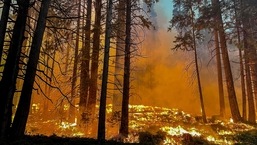 Nesta foto, cortesia do Serviço de Parques Nacionais, obtida em 11 de julho de 2022, bombeiros realizam operações de tiro pela culatra enquanto combatem o incêndio Washburn perto da entrada sul do Parque Nacional de Yosemite, Califórnia. 