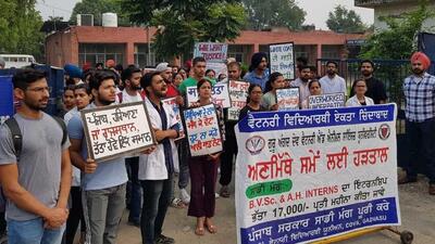 GADVASU interns holding a protest for hike in internship allowance in university campus in Ludhiana. (Harvinder Singh/ HT) GADVASU interns holding a protest for hike in internship allowance in university campus in Ludhiana. (Harvinder Singh/ HT)