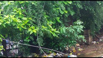 A 20-year-old youth was electrocuted on Tuesday after he came in contact with a broken cable which in turn came in touch with high tension live wire (as seen in pic) of MSEDCL network near Sawai Hotel on Sinhagad road in Pune. (HT)