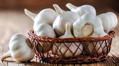 People keeping the fast should avoid garlic, onion, masoor dal and brinjal as they are considered tamsik food People keeping the fast should avoid garlic, onion, masoor dal and brinjal as they are considered tamsik food
