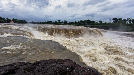 Godavari river in spate following monsoon rains in Nashik.(PTI)