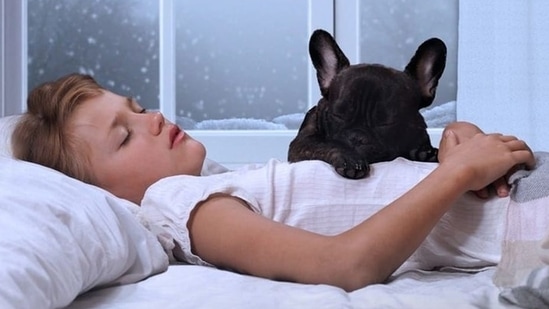 Sleeping with a pet is not just beneficial for humans, it's wonderful for the well-being of pets too(Pinterest)