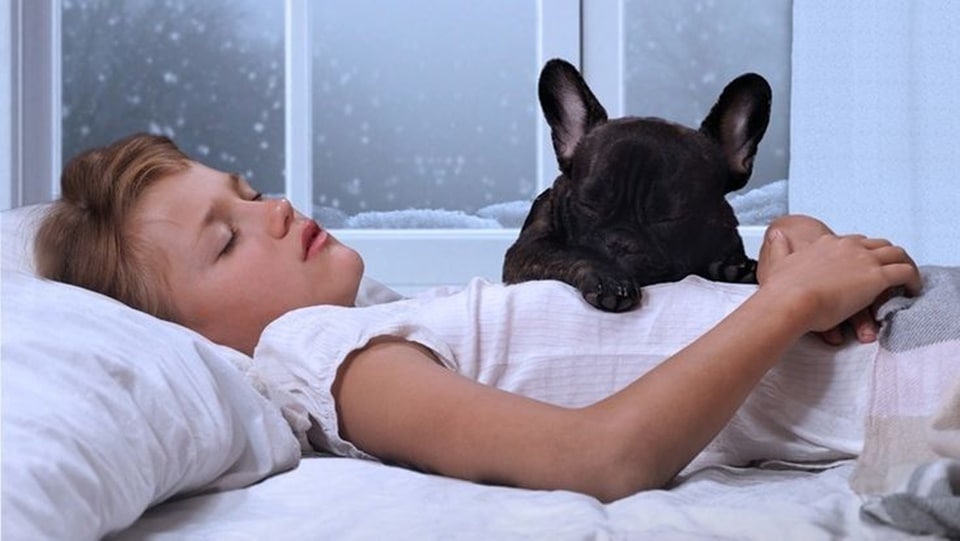 Sleeping with a pet is not just beneficial for humans, it's wonderful for the well-being of pets too (Pinterest)