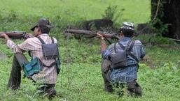 The joint operation was carried out on Chakarbandha forest.  (file image)