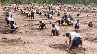 Children planting saplings as part of the Van Mahotsav celebrations in Chandigarh. (HT Photo)