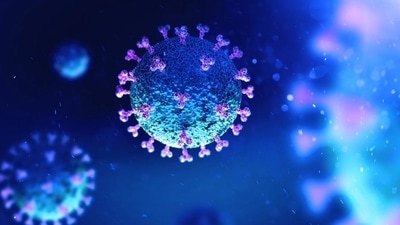 How our immune system dealt with the previous COVID infection can influence how it negotiates a future exposure. (Shutterstock)