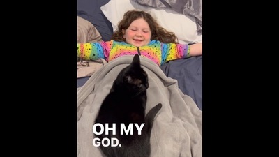 The image, taken from the Instagram video, shows the cat sitting comfortably on a tiny human. (Instagram/@joyandtreasure)