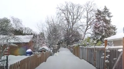 The image, taken from the YouTube video, shows a snow-covered path in Canada. (YouTube/@Rodrigo Inostroza C.)