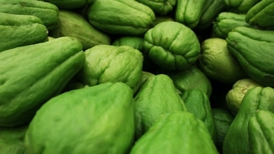 Chayote, also known as chow-chow, is a plant that belongs to the gourd family, Cucurbitaceae. It is grown in Madurai and Nilgiri district of Tamil Nadu, Karnataka, West Bengal, Mandi district of Himachal Pradesh and entire north-eastern region. In the east and northeastern states of India, it is known as squash. This fruit is not very famous in regions it is not grown in but has several health benefits. In fact, the root, stem, seeds and leaves are edible as well and has its own unique benefits. (Pexels) Chayote, also known as chow-chow, is a plant that belongs to the gourd family, Cucurbitaceae. It is grown in Madurai and Nilgiri district of Tamil Nadu, Karnataka, West Bengal, Mandi district of Himachal Pradesh and entire north-eastern region. In the east and northeastern states of India, it is known as squash. This fruit is not very famous in regions it is not grown in but has several health benefits. In fact, the root, stem, seeds and leaves are edible as well and has its own unique benefits. (Pexels)