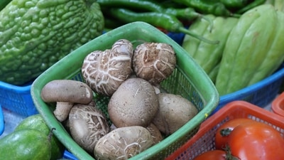 Packed with antioxidants: Chayote provides antioxidants like vitamin C and myricetin to the body that helps against cellular damage, reduce inflammation, and lower stress within your body. (Unsplash) Packed with antioxidants: Chayote provides antioxidants like vitamin C and myricetin to the body that helps against cellular damage, reduce inflammation, and lower stress within your body. (Unsplash)