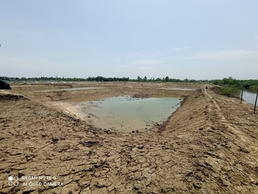The pond should be at least 50m away from farmland, 100m away from human habitat, and the distance between two ponds shouldn’t be less than 20m. (Joydeep Thakur/HT Photo) The pond should be at least 50m away from farmland, 100m away from human habitat, and the distance between two ponds shouldn’t be less than 20m. (Joydeep Thakur/HT Photo)