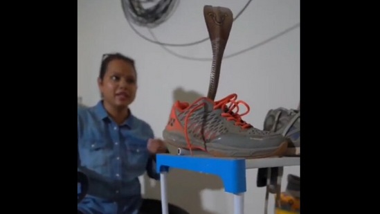 A woman is seen trying to rescue a snake hiding inside a shoe. (Twitter/@susantananda3) A woman is seen trying to rescue a snake hiding inside a shoe. (Twitter/@susantananda3)