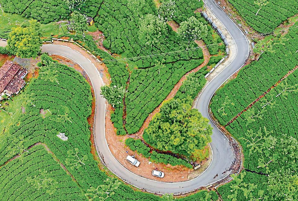 A road in Ooty on the way from Bangalore (Photo: Shutterstock) A road in Ooty on the way from Bangalore (Photo: Shutterstock)