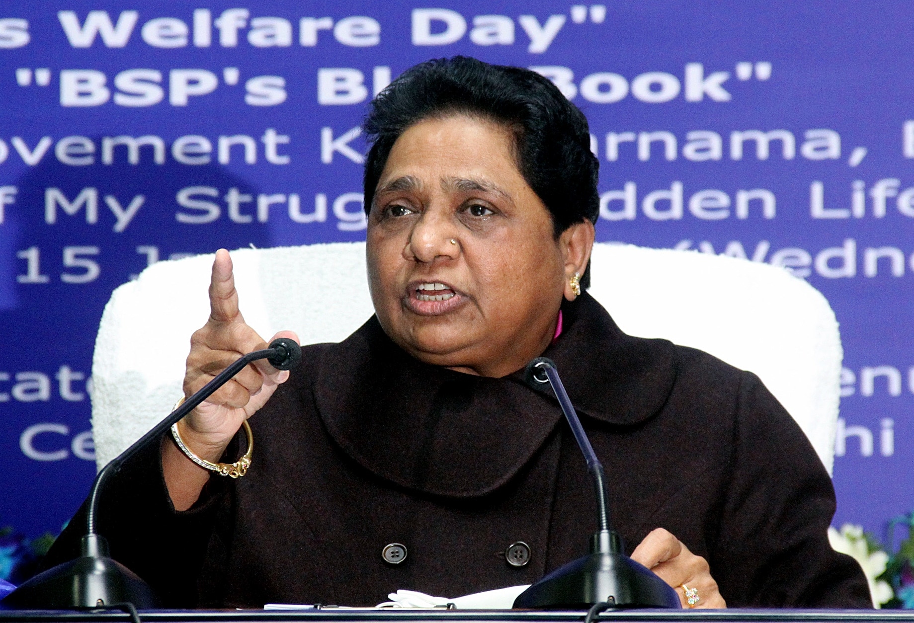 BSP supremo Mayawati (HT FILE PHOTO) (HT_PRINT)