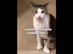 This cat ‘speaks’ about being a ‘daddy's boy' and how it cannot wait for him to be home.&nbsp;