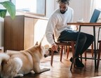 Pet care tips if you are working from home (Zen Chung)
