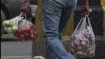 In its second of four annual projections, the government said total horticulture production in 2021-22 is estimated to be 341.63 million tonnes, an increase of about 7.03 million tonnes or 2.10% over 2020-21. (HT Photo) In its second of four annual projections, the government said total horticulture production in 2021-22 is estimated to be 341.63 million tonnes, an increase of about 7.03 million tonnes or 2.10% over 2020-21. (HT Photo)