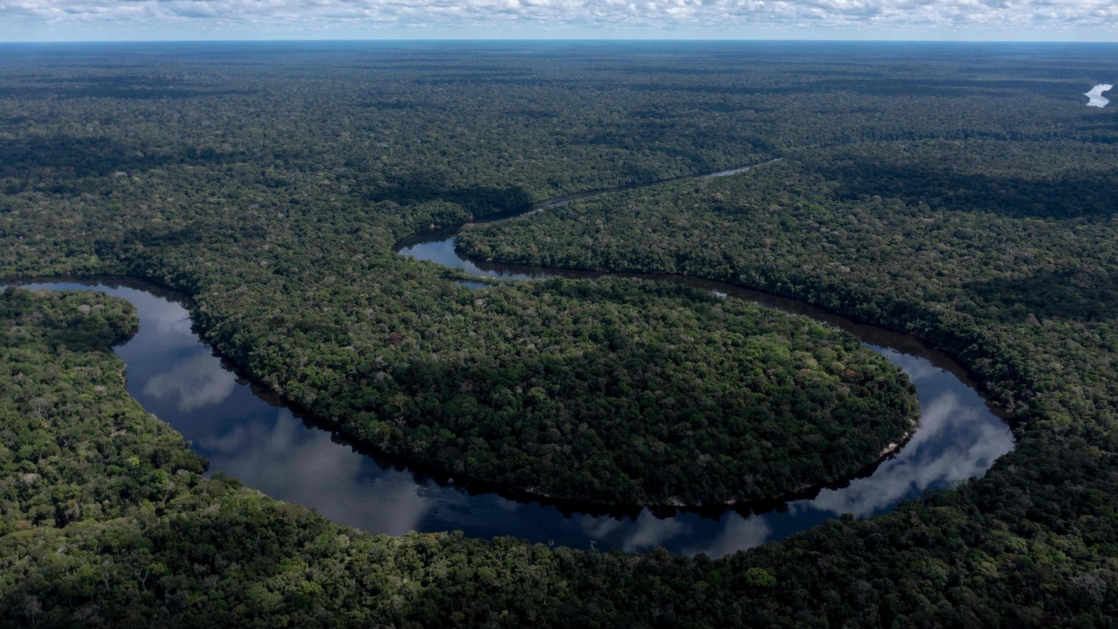 Race to find unknown reptiles, mammals, trees, more before Amazon is destroyed
